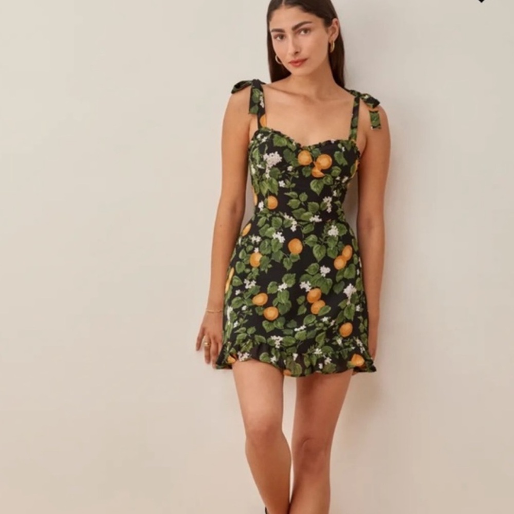 NWT Reformation Clementine Christine Dress